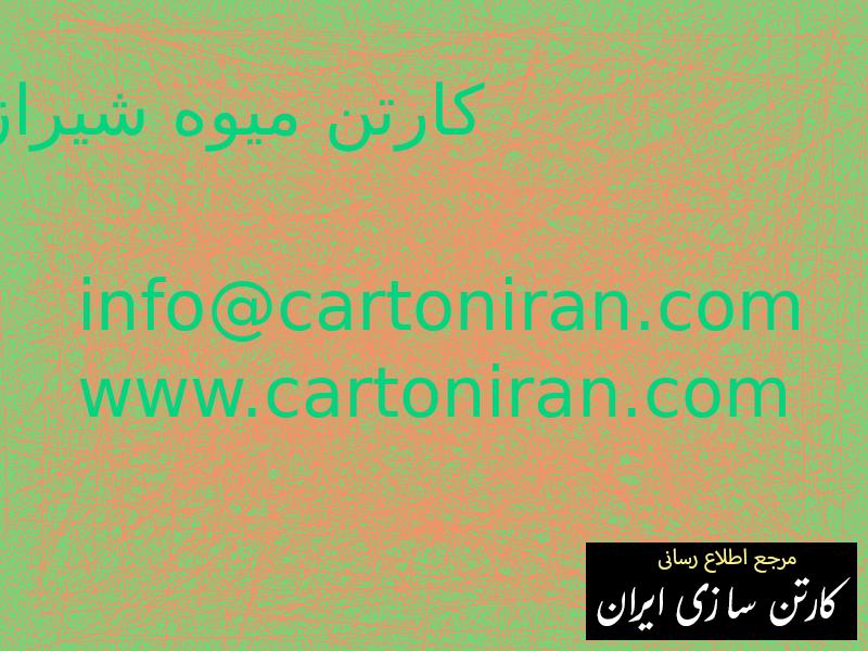 کارتن میوه شیراز